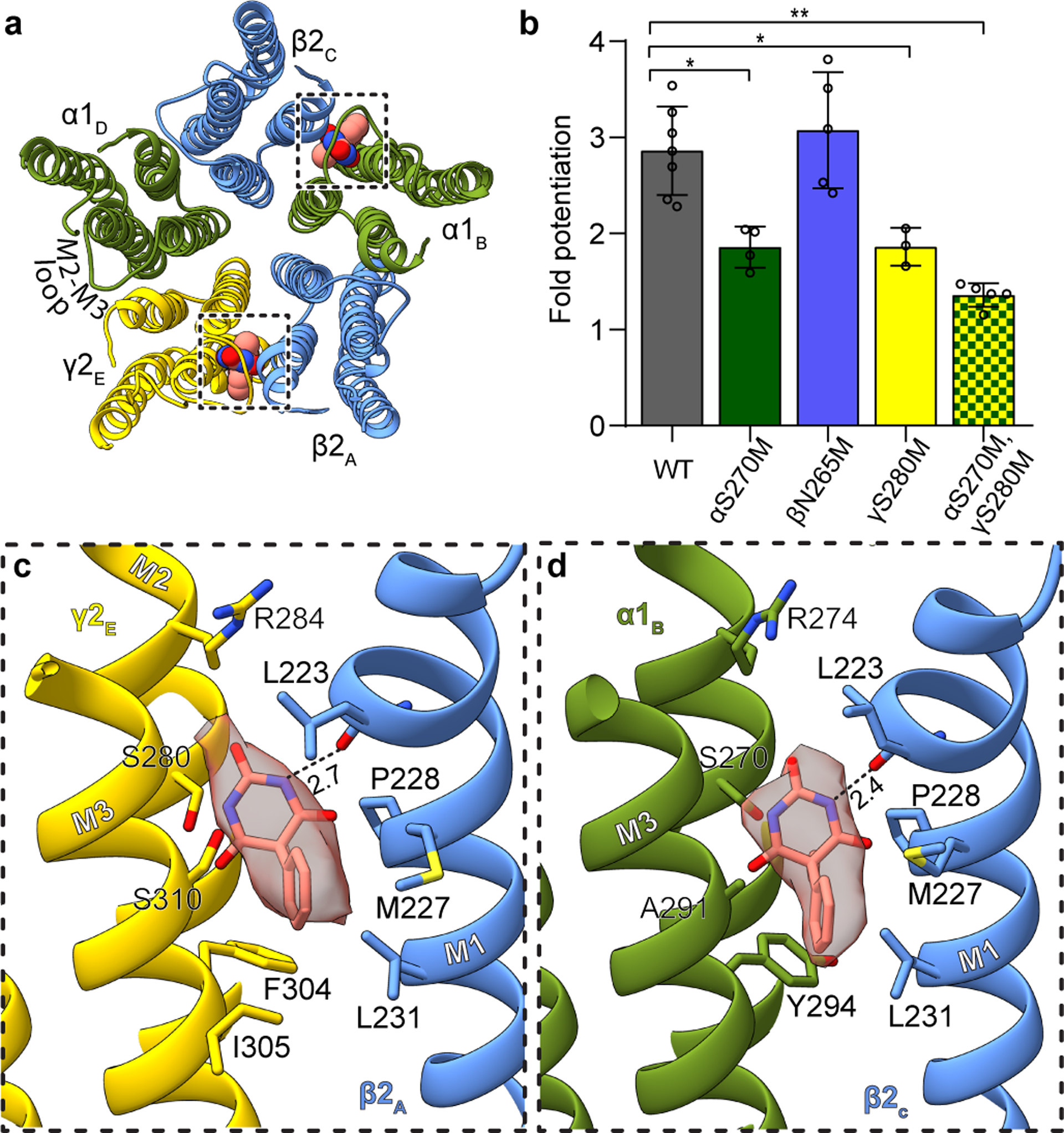 Figure 1: