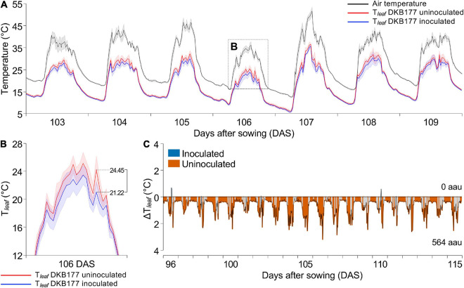 FIGURE 4