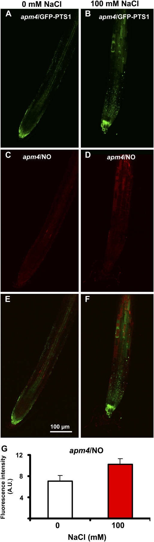 Figure 9.