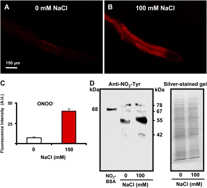 Figure 10.