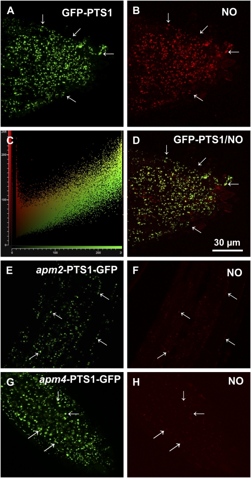 Figure 3.