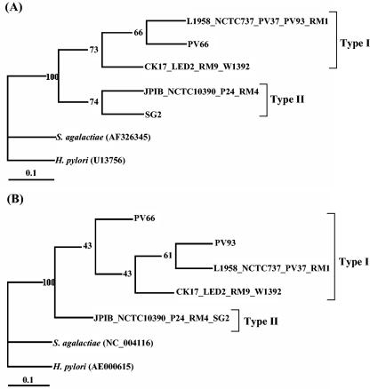 FIG. 5.