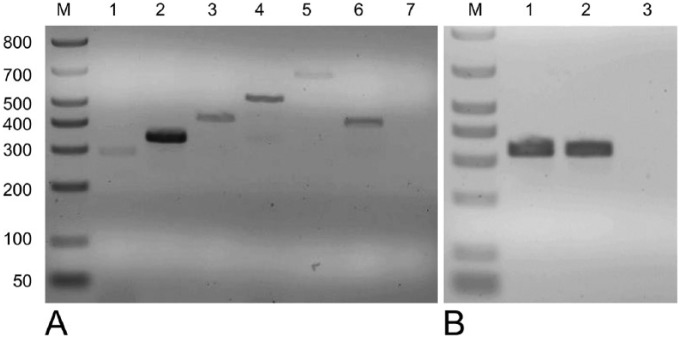 Figure 2.