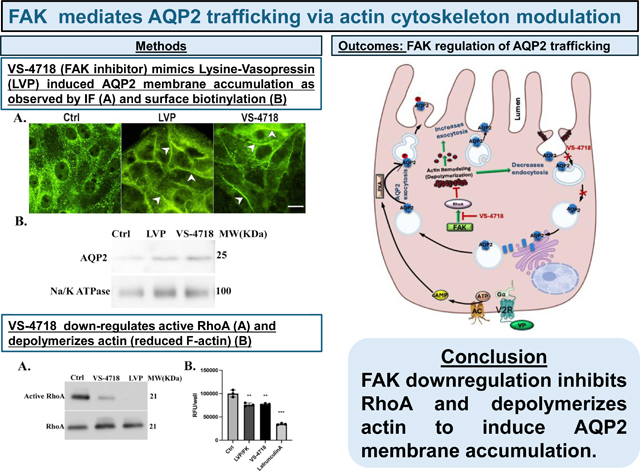 graphic file with name nihms-2109136-f0012.jpg