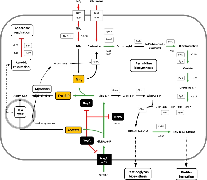 Fig. 6.