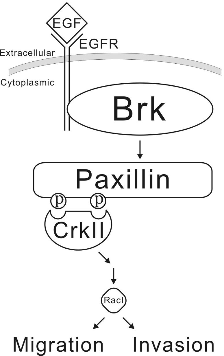 FIG. 11.