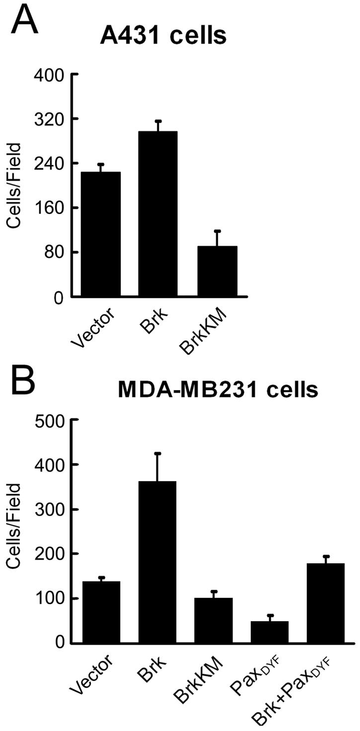 FIG. 10.