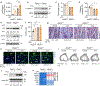 Extended Data Figure 9.