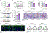 Extended Data Figure 8.