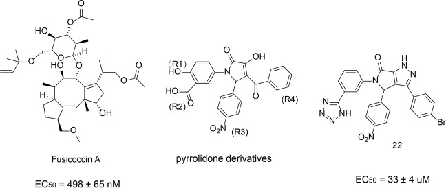 Fig. 12