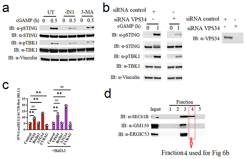 Extended Data Fig. 7