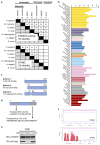 Extended Data Fig. 1