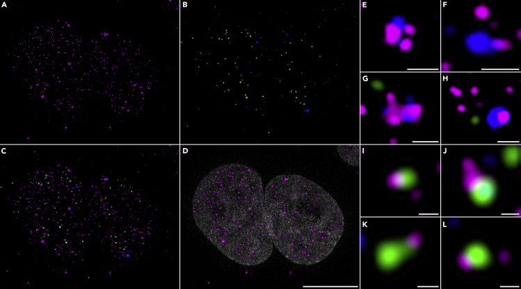 Figure 4