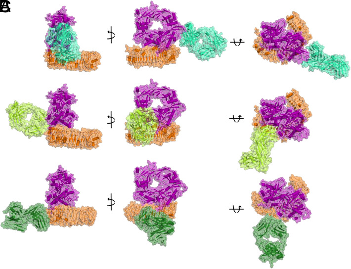 FIGURE 1.