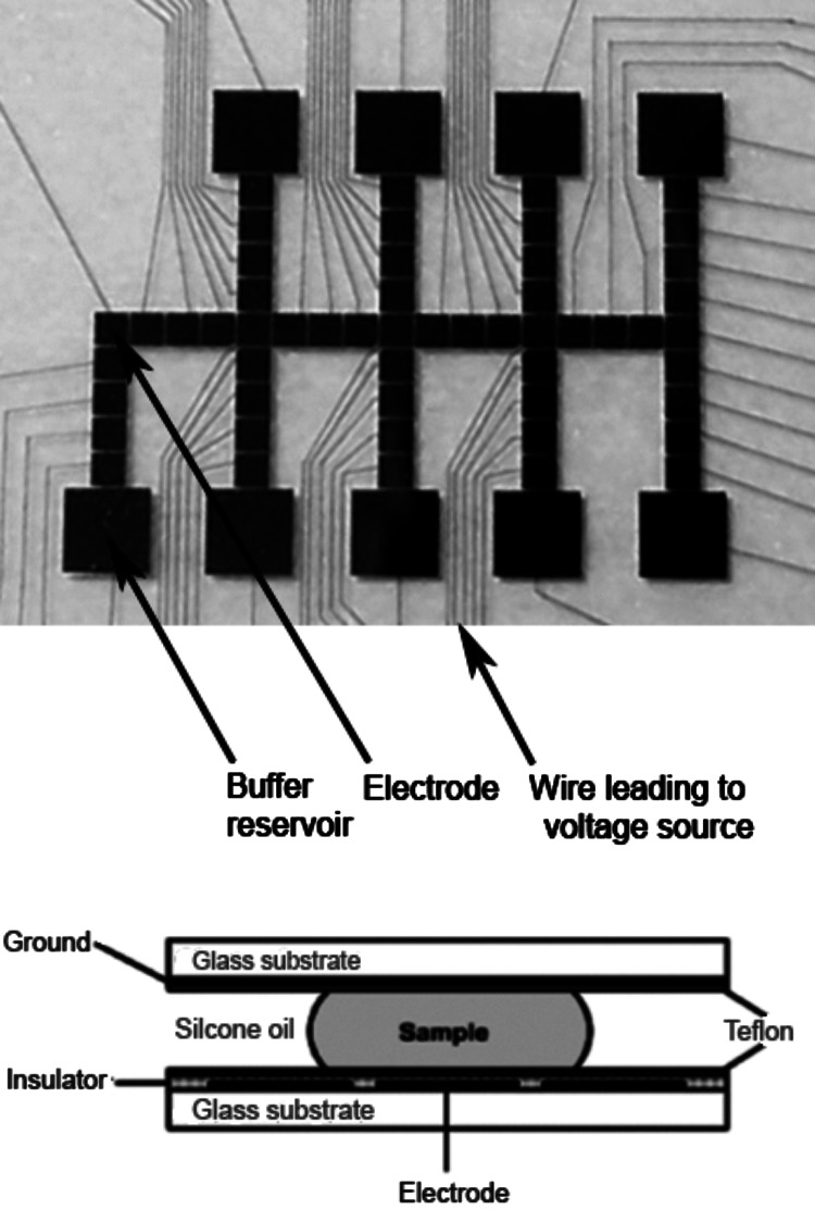 Fig. 7.