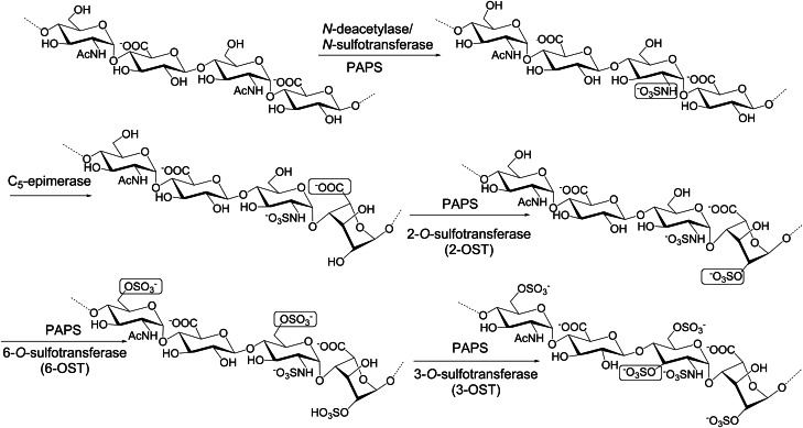 Fig. 6.