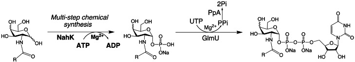 Fig. 4.