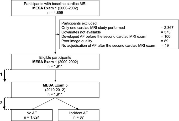 Flowchart of the study. Mean time between baseline and second cardiac MRI examinations, 9.6 years ± 0.4 (1). Mean time of AF follow-up: 3.9 years ± 0.9 after the second cardiac MRI examination (2). AF = atrial fibrillation, MESA = Multi-Ethnic Study of Atherosclerosis.