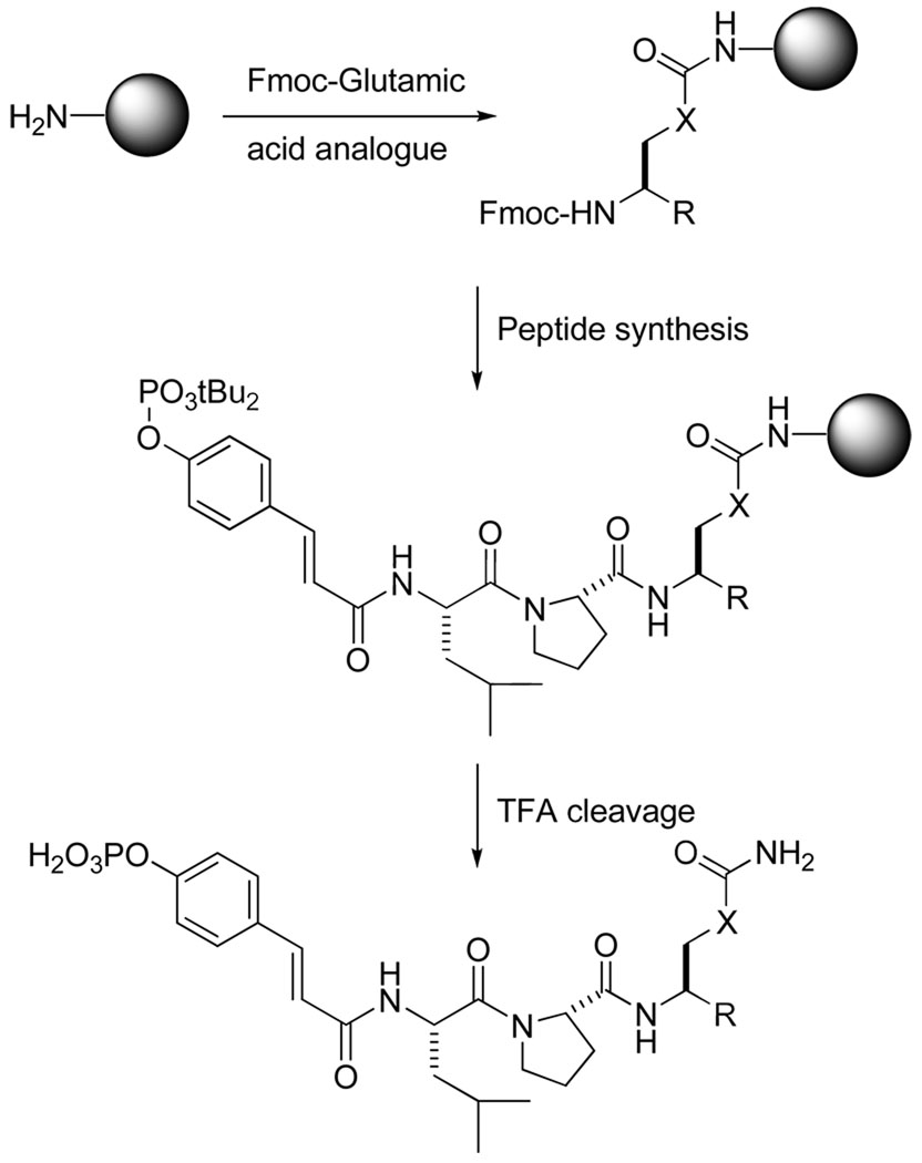 Scheme 1