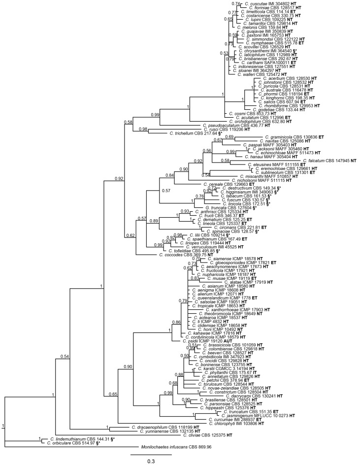 Fig. 2.