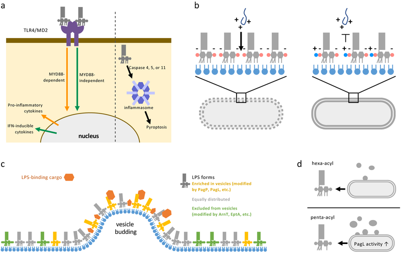 Figure 3: