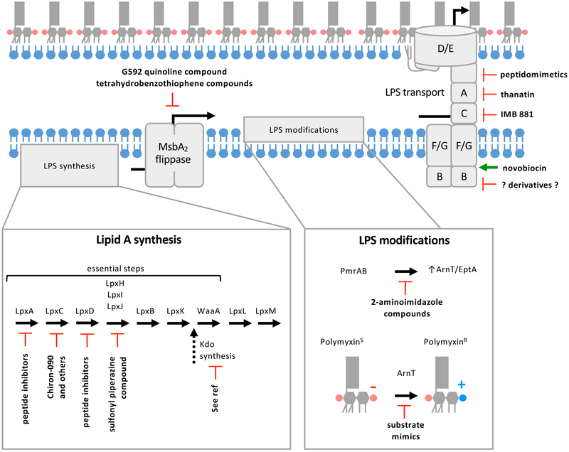 Figure 4: