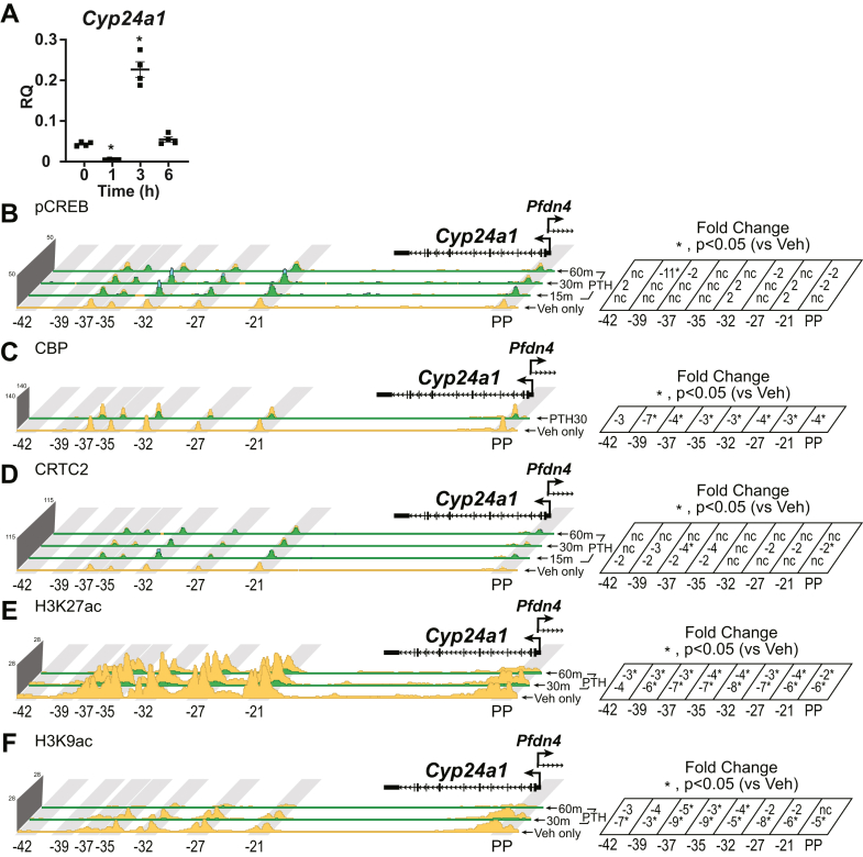 Figure 3