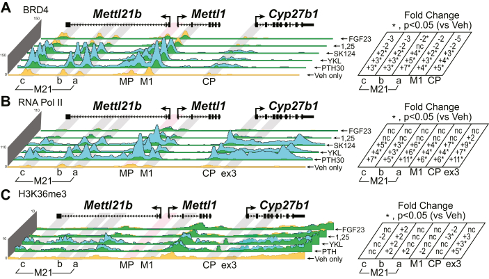 Figure 10