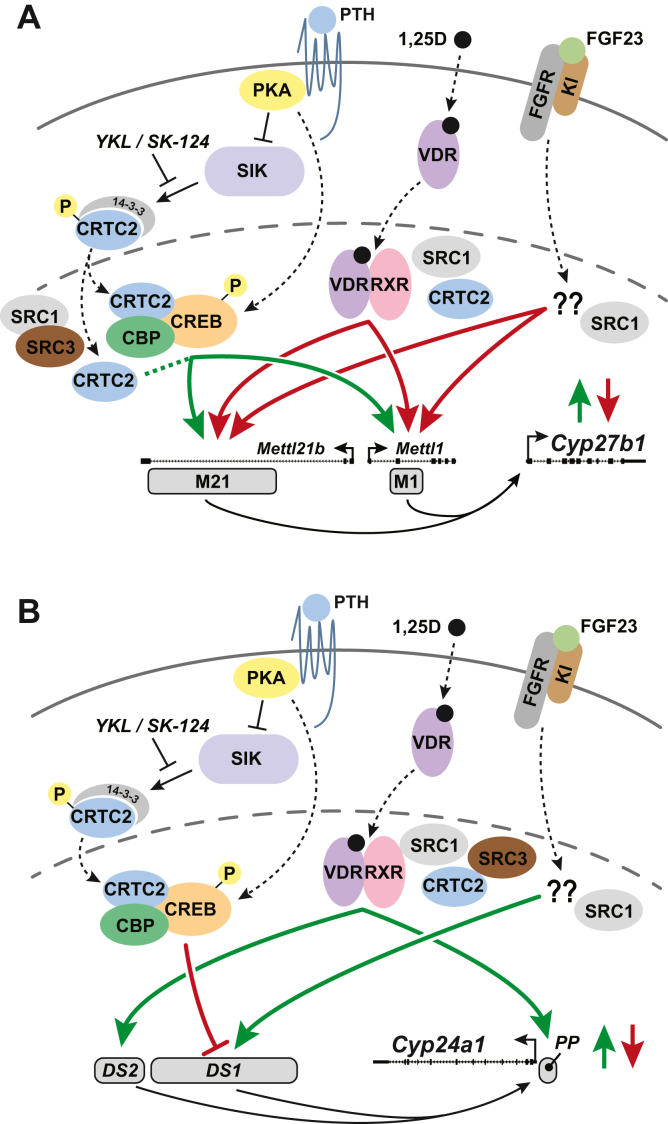 Figure 12