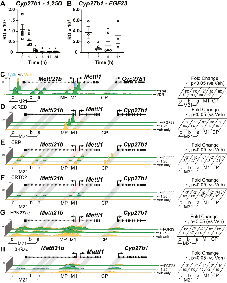 Figure 7