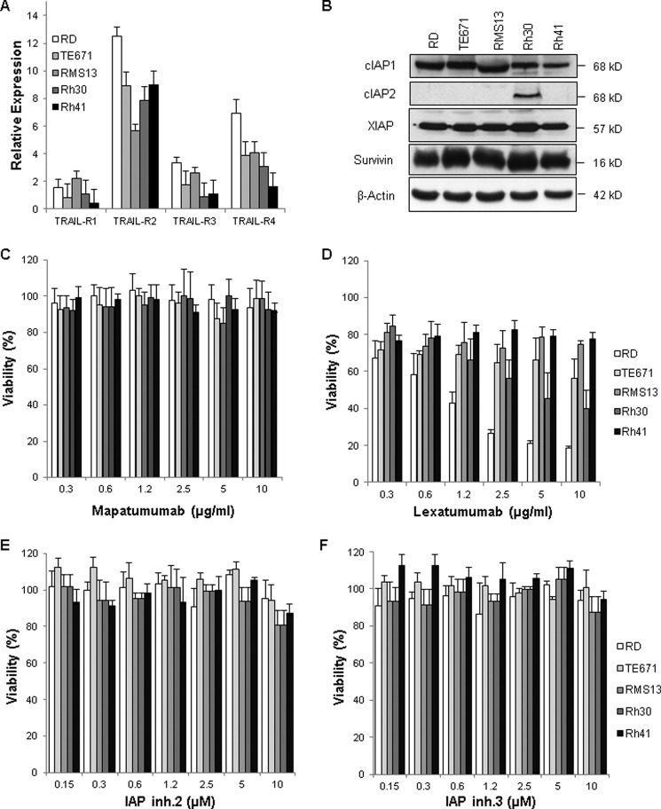 FIGURE 1.