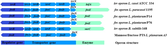 FIG 4