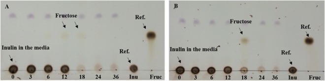 FIG 3