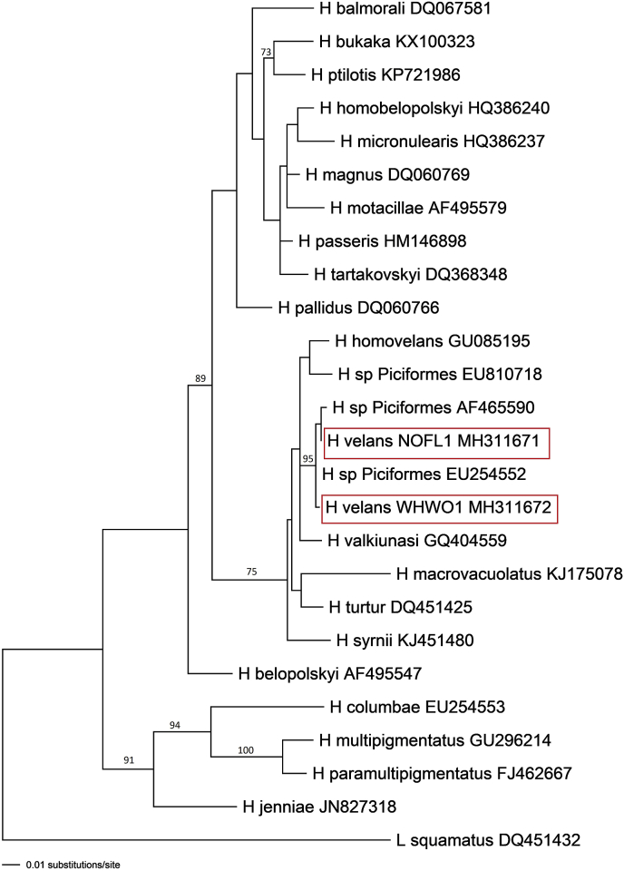 Fig. 4