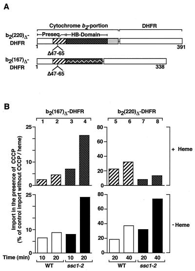 FIG. 6