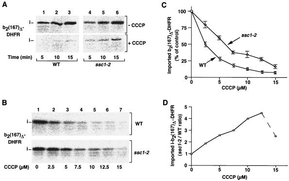 FIG. 1