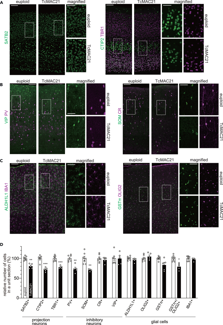 Figure 3