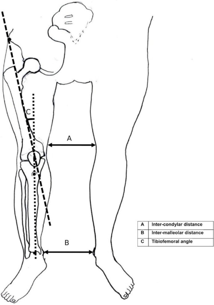 Fig. 5.