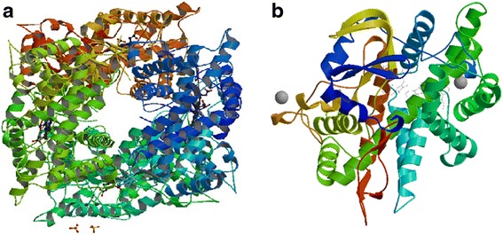 Fig. 2