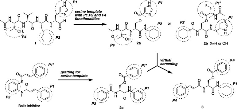 Scheme 1