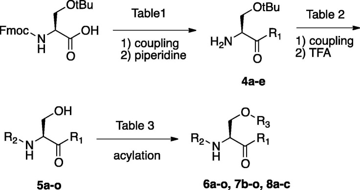 Scheme 2