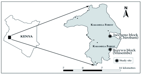 Figure 1: 