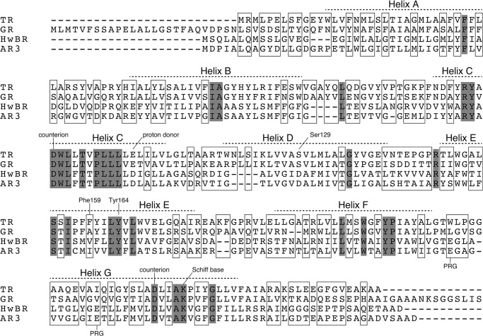 FIGURE 2.