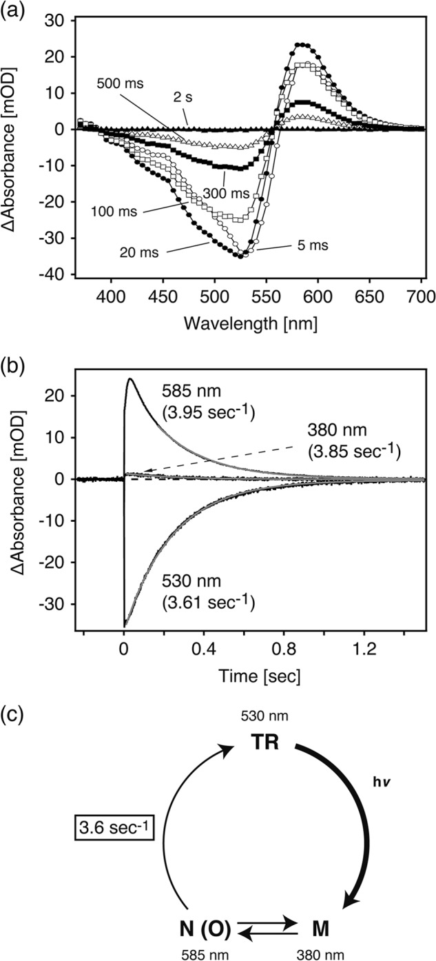 FIGURE 6.