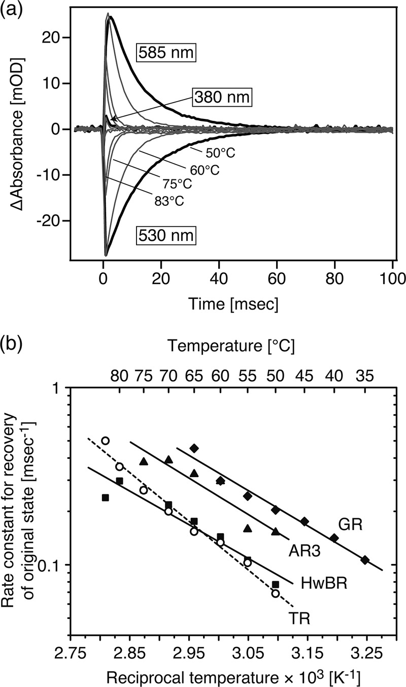 FIGURE 7.