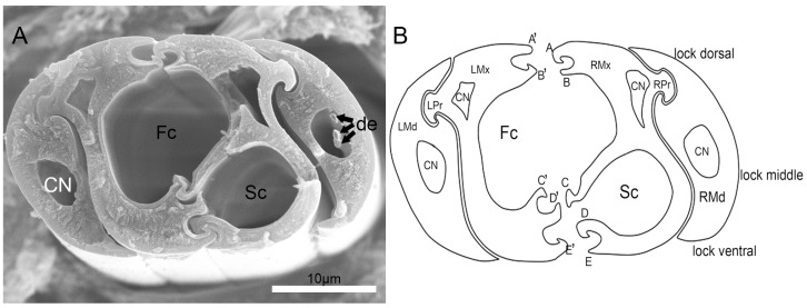 Figure 9