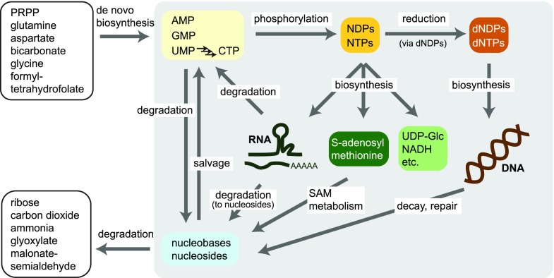 Figure 2.