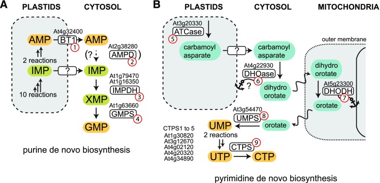 Figure 3.