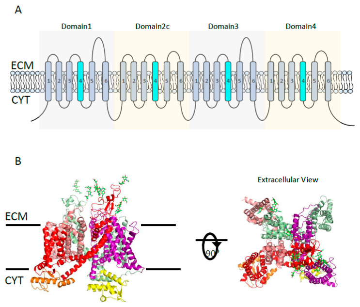 Figure 7