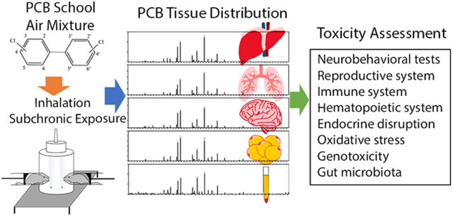 graphic file with name nihms-1667367-f0001.jpg